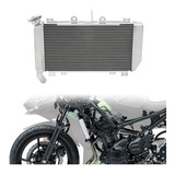 Radiador Kawasaki Ninja 400 2018 2019 2022 Modelo Original