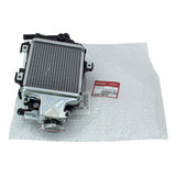 Radiador Pcx150 2014 2015 2016 2017 2018 Original Honda