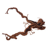 Raiz Natural Root 128x85x54