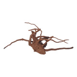 Raíz Natural Root 36x13x13