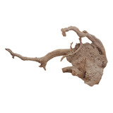 Raiz Natural Root 42x20x24cm