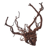 Raíz Natural Root 77x34x64
