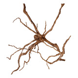 Raiz Natural Root 83x43x32cm
