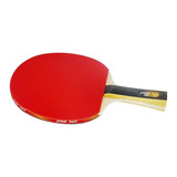 Raquete De Ping Pong Dhs 1002 Preta/vermelha Fl (côncavo)