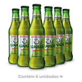 Refrigerante Orgânico Zero Açúcar Guaraná Wewi 255ml Pacote Com 6 Unidades