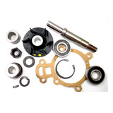 Reparo Da Bomba Dagua 4236 Perkins 423.623/424.816