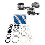 Reparo Para Caixa Direção Hidráulica Zf 8014 11.180 Delivery