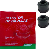 Retentor De Válvula Fazer Lander 250 (par) Wgk 1a Linha