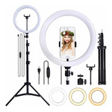 Ringlinght Led Luz Flash Estudio Profissional Com Tripe 210m 110v/220v (bivolt)