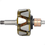 Rotor Alternador 35 Amperes Maxion 2005 A 2005