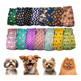 Roupa De Cachorro | Roupinha Pet | Roupa Gato Soft - Gg