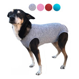Roupa Para Cachorro Com Proteção Solar Uv 50+ Tam. 6 Ao 10