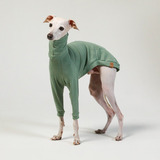 Roupa Para Cachorro Galgo Italiano Lisa Verde