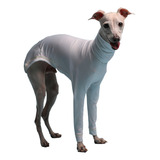 Roupa Pet Roupinha Galgo Whippet Proteção Uv50+ Branca Petjr