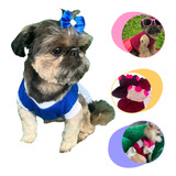 Roupa Pet Vestido Barbie Femea Mini Micro Cachorro Gato
