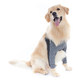 Roupa Protetora Higroma Cotoveleira Cachorro Cães Pet Med N7