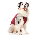 Roupa Protetora Pós Cirúrgica Cães Macho Fêmea Nº14 + Brinde