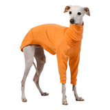 Roupa Roupinha Galgo Whippet Cachorro Lisa Laranja Pet Jr