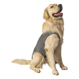 Roupinha Pos Cirurgica Cachorro Macho Fêmea N13-pet Designer