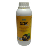 Sabonete Liquido Desengraxante Citrix Guia 1l- 1806300