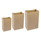 Saco De Papel Kraft Para Delivery 3 Medidas P M G Com 300un