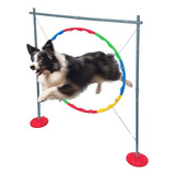 Salto Circular 88cm Para Adestramento De Border Collies