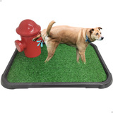 Sanitário Canino Grama Sintética Cães C/ Hidrante Poste 52cm