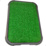 Sanitário Canino Tapete Xixi Pet Grama Sintética Grande 65cm