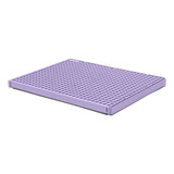Sanitário Para Cães Candy Collors Baby Pipi Dolly's Lilás