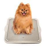 Sanitário Tapete Higiênico Canino Branco Offwhite Good Pads