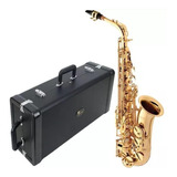 Sax Alto Eagle Sa501 Laqueado Sa-501 Saxofone