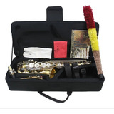 Sax Alto Slade Dourado Com Chaves Prata - Saxofone Mi Bemol