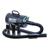 Secador/ Soprador Profissional Para Estofados E Pet + Brinde
