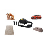 Secador Soprador Carro Tapete Sofá Pet Profissional 2400w