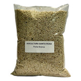 Semente Perila Branca - 1kg - Canto Fertilidade Muda Penas