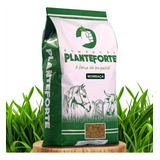 Sementes Plante Forte Capim Mombaça 2kg