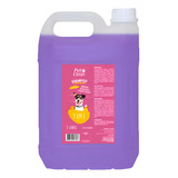 Shampoo 3 Em 1 Para Cães Gatos Banho Tosa Pet Clean 5 Litros