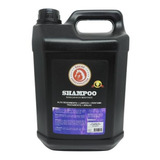 Shampoo Clareador 5 Litros Brene Horse