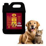 Shampoo Condicionador Banho Tosa Avelã Cereja Cães Gatos 5 L Fragrância Shampoo Avelã E Cereja