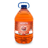 Shampoo Limpeza Profunda 5l Cat Dog Cachorro Gato Pet
