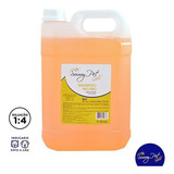 Shampoo Neutro Glicerinado Sem Sal 5 Lt