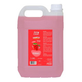 Shampoo Para Cachorro Pet Clean 5lit Morango - Profissional