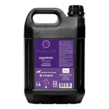 Shampoo Pet Cães E Gatos 5 Litros Concentrado Freshness Pet Fragrância Branqueador