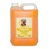 Shampoo Suave 5 Litros Para Cães E Gatos - Petgroom