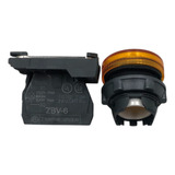 Sinalizador Modular Laranja Schneider Xb5av65 22mm 250v