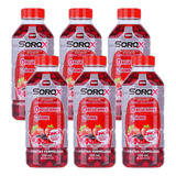 Sorox Frutas Vermelhas Kit C/6 550ml Cada Packc/6 Sorox