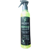 Spray Anti-odor Expert Clean Pro Bactericida Fungicida 300ml