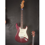 Stratocaster Shelter Fst62