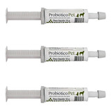 Suplemento Probiótico Pet 14g Para Cães Gatos Avert - Kit 3