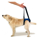 Suporte Traseiro De Quadril Para Cão Deficiente - M